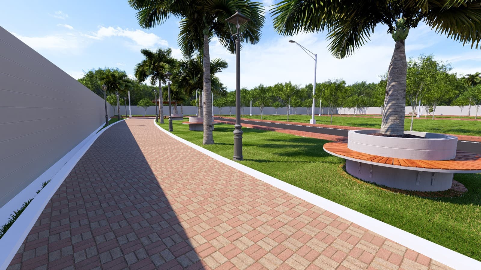 Palm-lined walkway with circular benches